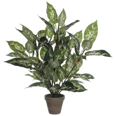 Umelá kvetina dieffenbachia 70 cm