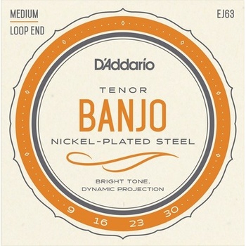 D'addario EJ63