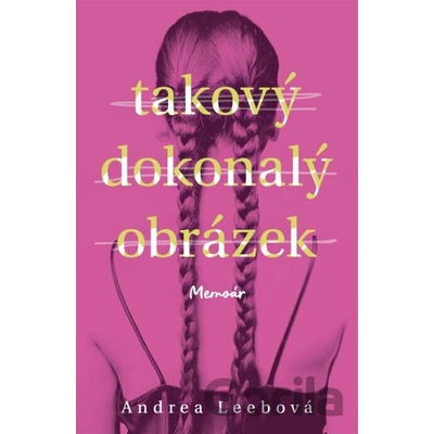 Takový dokonalý obrázek - Andrea Leebová
