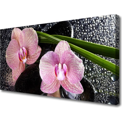 Obraz Canvas Kvety orchidea kamene zen 100x50 cm