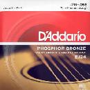 D'ADDARIO EJ24