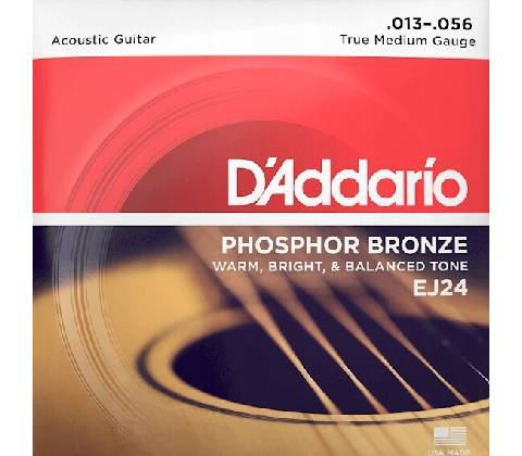 D'ADDARIO EJ24