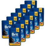 Brit Капсула BRIT Premium Cat Сьомга и Пъстърва 12 x 100 г