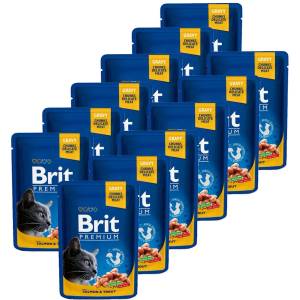 Brit Капсула BRIT Premium Cat Сьомга и Пъстърва 12 x 100 г
