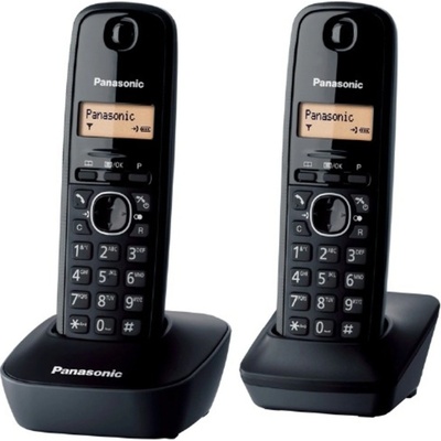 Panasonic KX-TG1612 – Zboží Živě