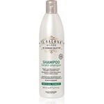 ALFAPARF Milano Il Salone Milano Keratin възстановяващ шампоан за увредена коса 500ml