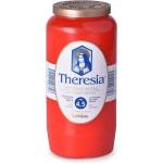 Z - TRADE s. r. o Z - TRADE s. r. o. Композитна свещ Theresia 320 г ~4, 5 дни червена