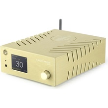 Gold Note DS-10 EVO Gold
