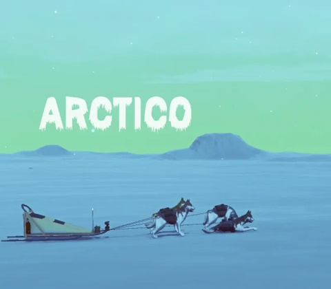 Arctico