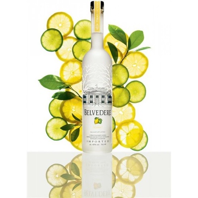 Belvedere Citrus 40% 0,7 l (holá láhev)