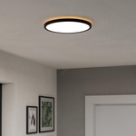 EGLO 901438-LED баня таванно осветление ROVITO 13, 9W/230V Ø30cm IP44 черно (EG901438)