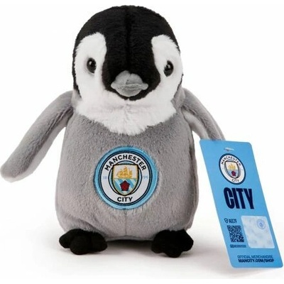 Manchester City tučniak