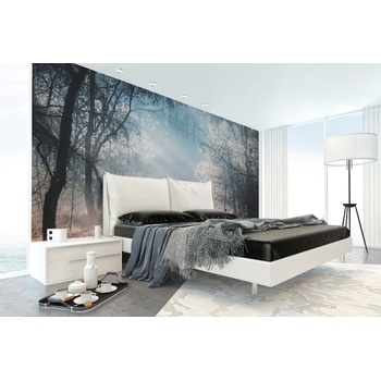 DIMEX ART s. r. o Самозалепваща се флизелинова фототапета сутрешна мъгла в гората 375 x 250 см