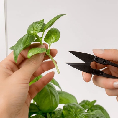 VÉritable (Франция) Мини градинска ножица veritable mini-snips (a-acc-snip-0074-b)