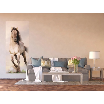Ag Design FTNV-2928 Vliesová fototapeta Cválající kůň rozměry 90 x 202 cm