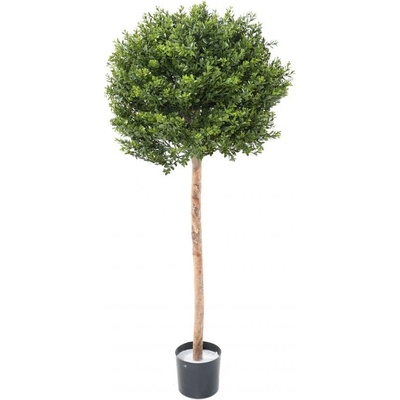 Umělý keř Zimostráz - Buxus na kmínku deluxe, 110cm