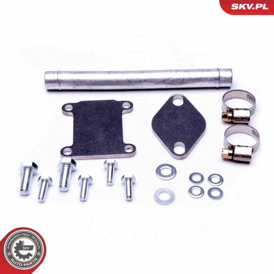 Súprava na opravu, ventil AGR ESEN SKV 14SKV508 14SKV508