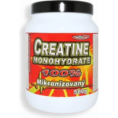 AminoMax Creatine monohydrate 500 g
