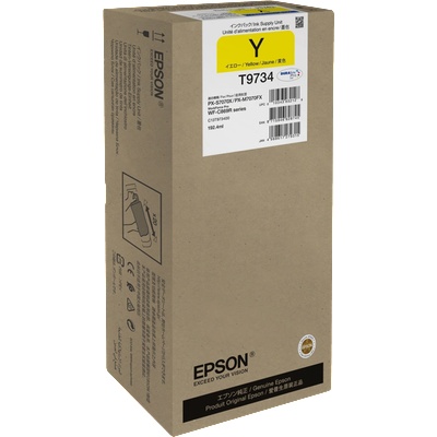 Epson T9734