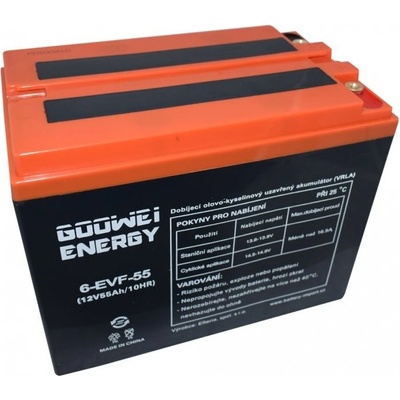 GOOWEI ENERGY 12V 55Ah 6-EVF-55