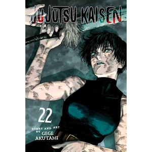 Jujutsu Kaisen, Vol. 22 (2024)