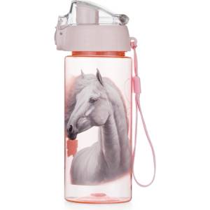 KARTON P+P Бутилка OXY CLiCK 500 ml кон романтичен (9-06426)