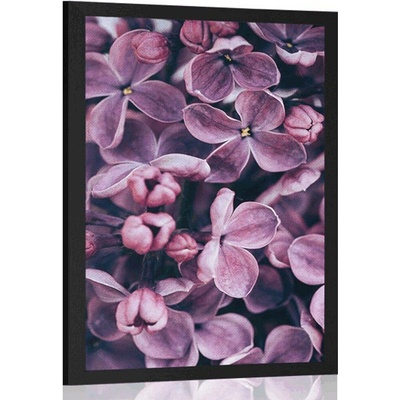 Plakát fialové květy šeříku - 30x45 silver