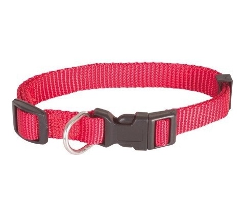 Doogy obojek Basic Nylon