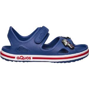 AQUOS Cosys 30/31