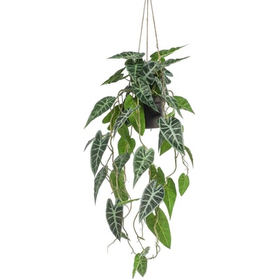 Umelá Alocasia v závesnom kvetináči, 80cm