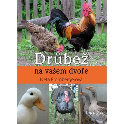 Drůbež na vašem dvorku