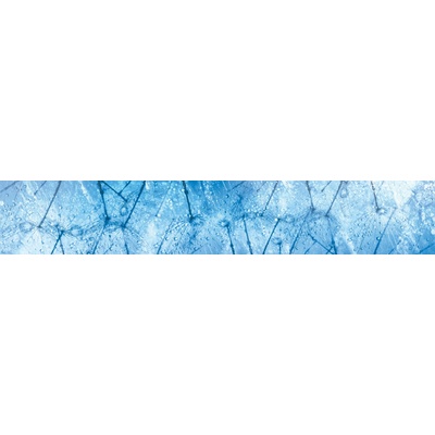 Dimex KI350-127 Fototapeta za linku Dandelions rozměry 350 x 60 cm