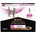 PRO PLAN Urinary chicken 10x85 g
