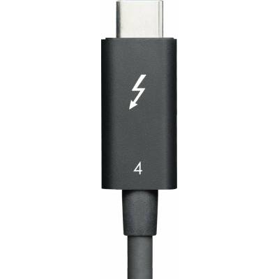 Lenovo 4Z51A40455 Thunderbolt, 2m, černý