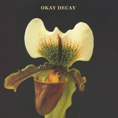 CANSHAKER PI - OKAY DECAY CD
