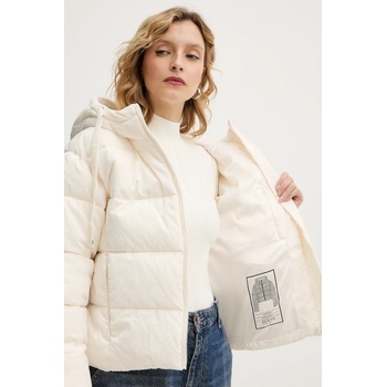 Guess Яке Guess DAISY (W4BL36.WGJZ0)