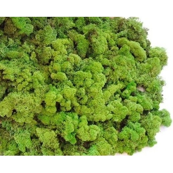 Dekorační islandský mech - zelený 50 g