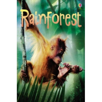 Rainforest Clarke Catriona