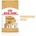 Royal Canin Pomeranian Adult 1,5 kg