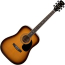Cort AD880