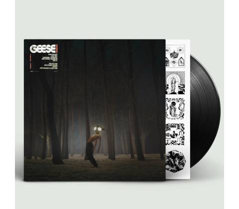 Projector - Geese LP