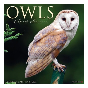 Willow Creek Press Calendars Owls 2026 12 X 12 Wall Calendar | Willow Creek Press