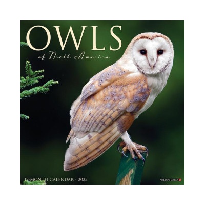Willow Creek Press Calendars Owls 2026 12 X 12 Wall Calendar | Willow Creek Press