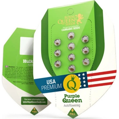 Royal Queen Seeds Purple Queen AUTO semienka neobsahujú THC 3 ks