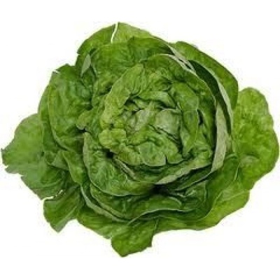 Салата зелена - България