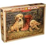 EUROGRAPHICS - Puzzle Puppies with Shoe - 1 000 piese