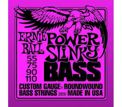 Ernie Ball 2831