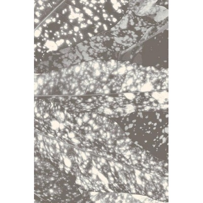 Agnella Naturals Kroton šedý