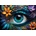 Bluebird Puzzle - Puzzle Look at Me - 1 000 piese