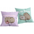 Halantex Obojstranný vankúš mačička Pusheen chatuje 40x40